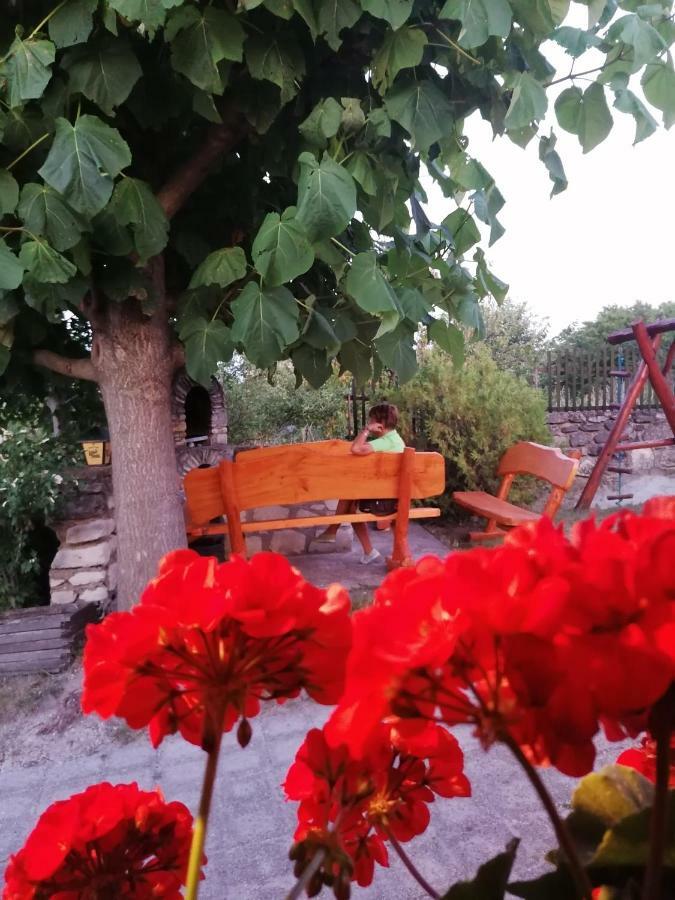Szentesi Panzio Bed & Breakfast Fertőrákos Exterior foto