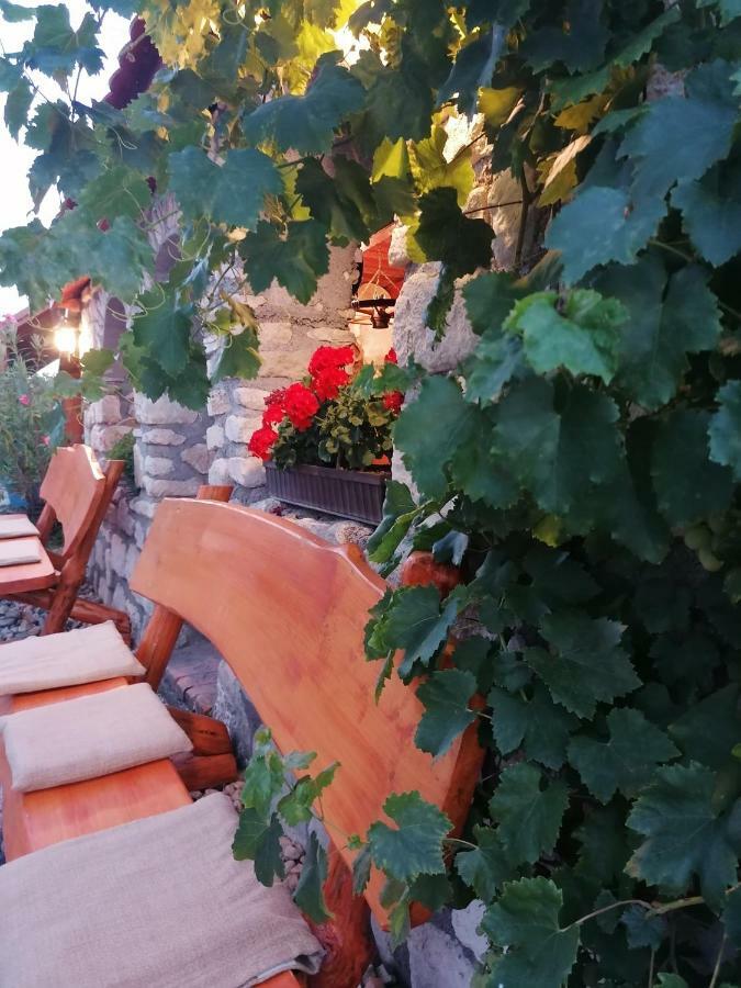 Szentesi Panzio Bed & Breakfast Fertőrákos Exterior foto